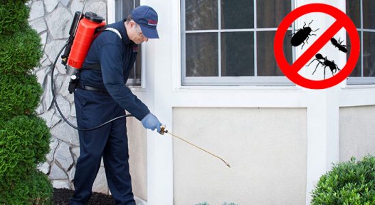 Akçakent Fare İlaçlama böcek ilaçlama ve haşere kontrolü — ilaclama-tr.com